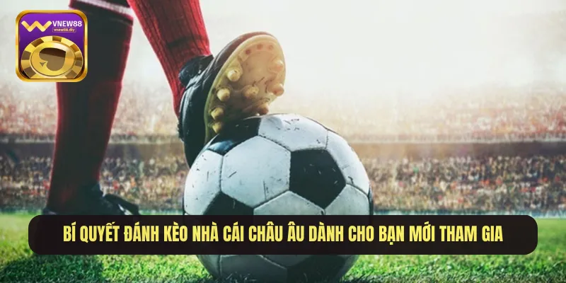 Bí quyết đánh kèo nhà cái châu Âu dành cho bạn mới tham gia