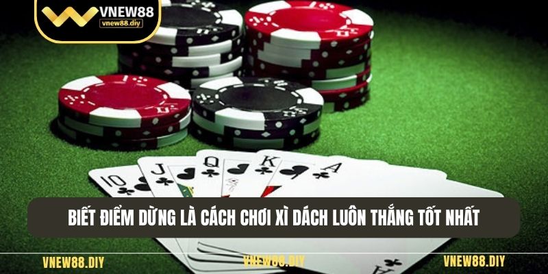 Biết điểm dừng là cách chơi xì dách luôn thắng tốt nhất