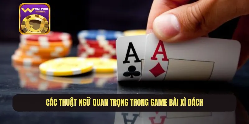 Các thuật ngữ quan trọng trong game bài xì dách