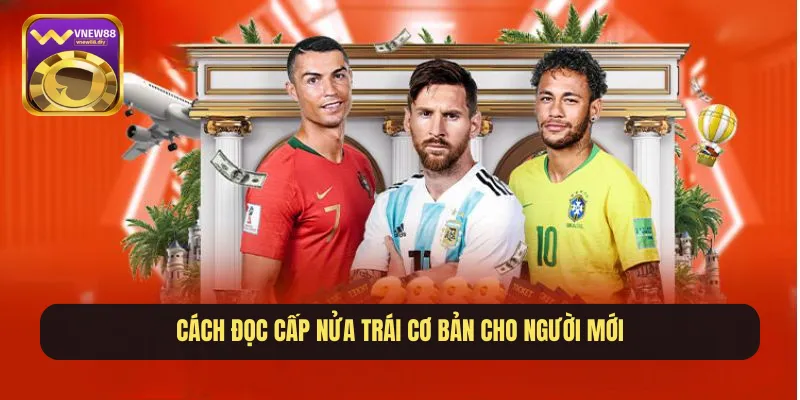 Cách đọc cấp nửa trái cơ bản cho người mới