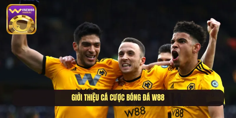 Giới thiệu cá cược bóng đá W88