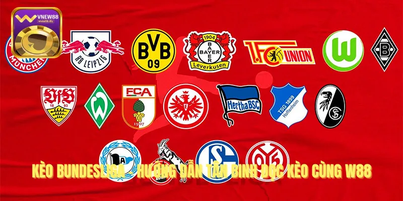Kèo Bundesliga - Hướng Dẫn Tân Binh Đọc Kèo Cùng W88