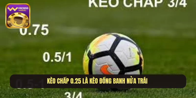 Kèo chấp 0.25 là kèo đồng banh nửa trái 