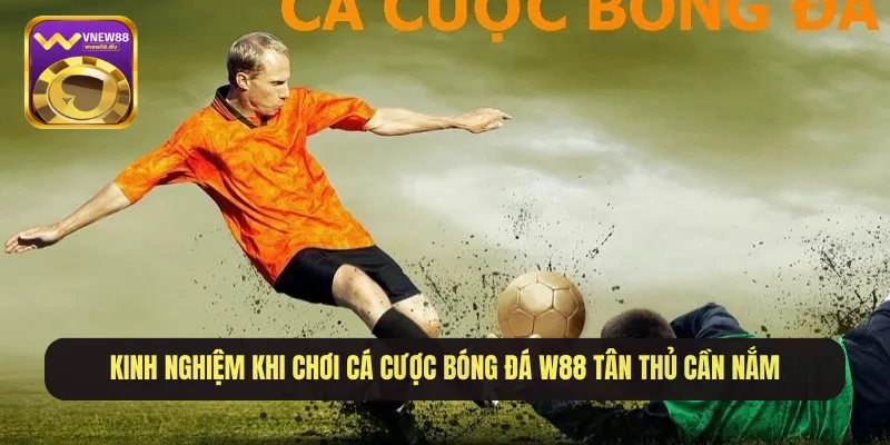 Kinh nghiệm khi chơi cá cược bóng đá W88 tân thủ cần nắm