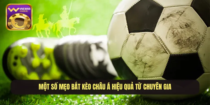 Một số mẹo bắt kèo Châu Á hiệu quả từ chuyên gia