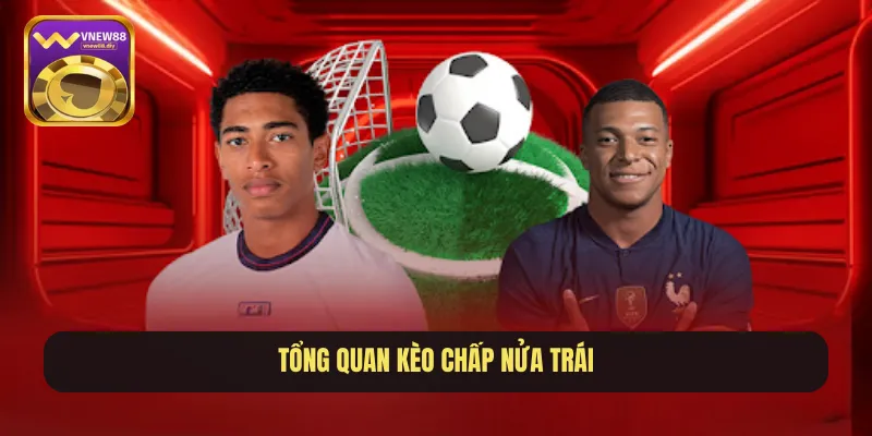 Tổng quan kèo chấp nửa trái