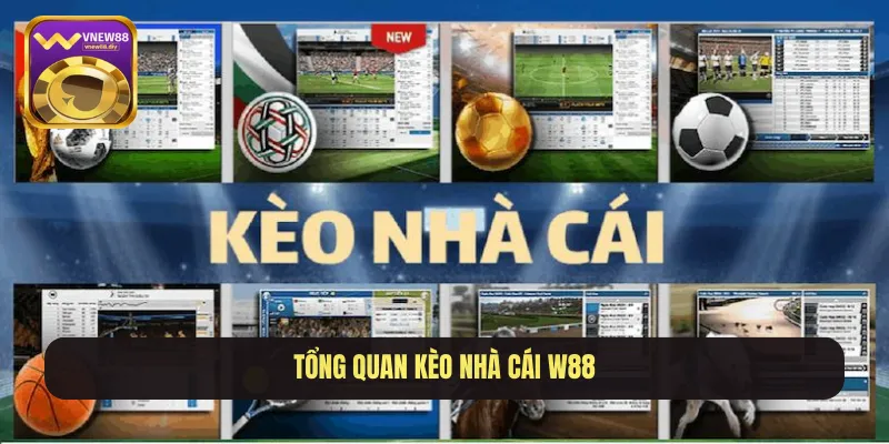 Tổng quan kèo nhà cái W88