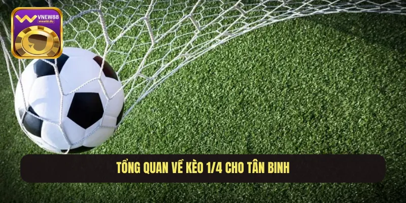 Tổng quan về kèo 1/4 cho tân binh